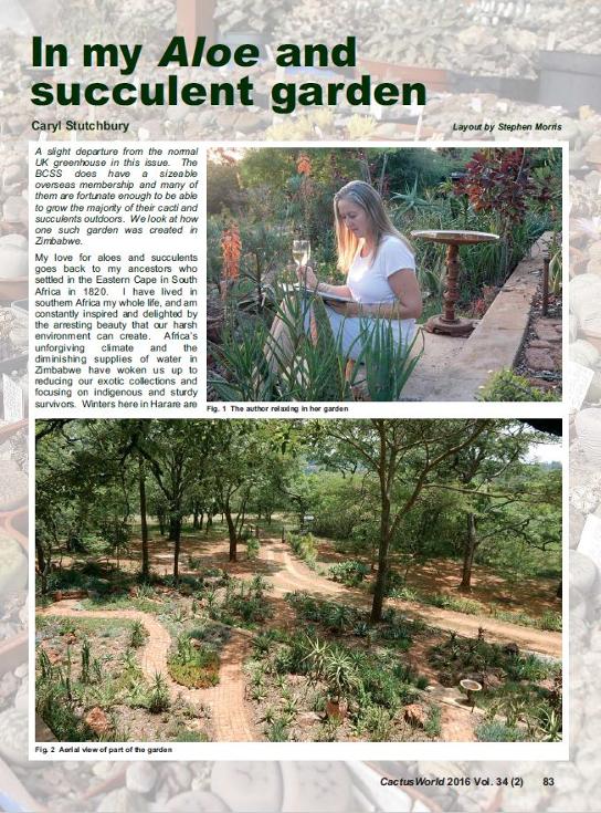 British Cactus Journal In my Aloe and Succulent Garden #ZimAloeChick
